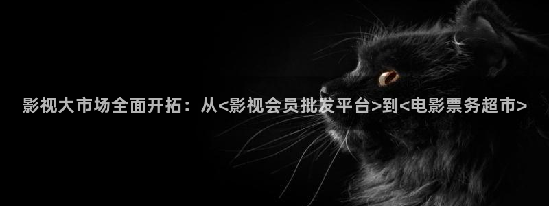 影視大市場(chǎng)全面開拓：從<影視會(huì)員批發(fā)平臺(tái)>到<電影票務(wù)超市>