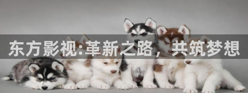 東方影視:革新之路，共筑夢想