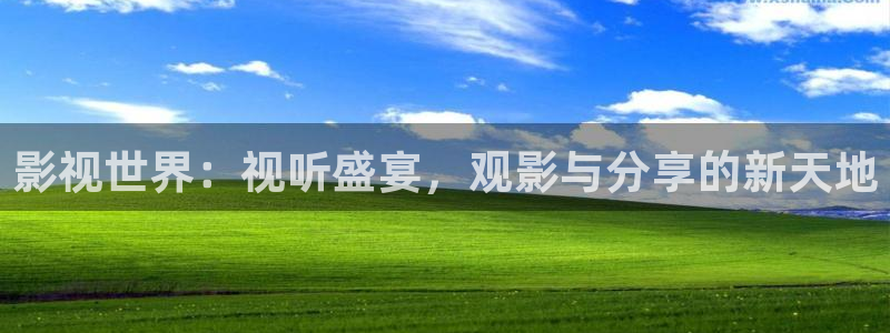 影視世界：視聽(tīng)盛宴，觀影與分享的新天地
